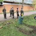 Żonkile dla hospicjum